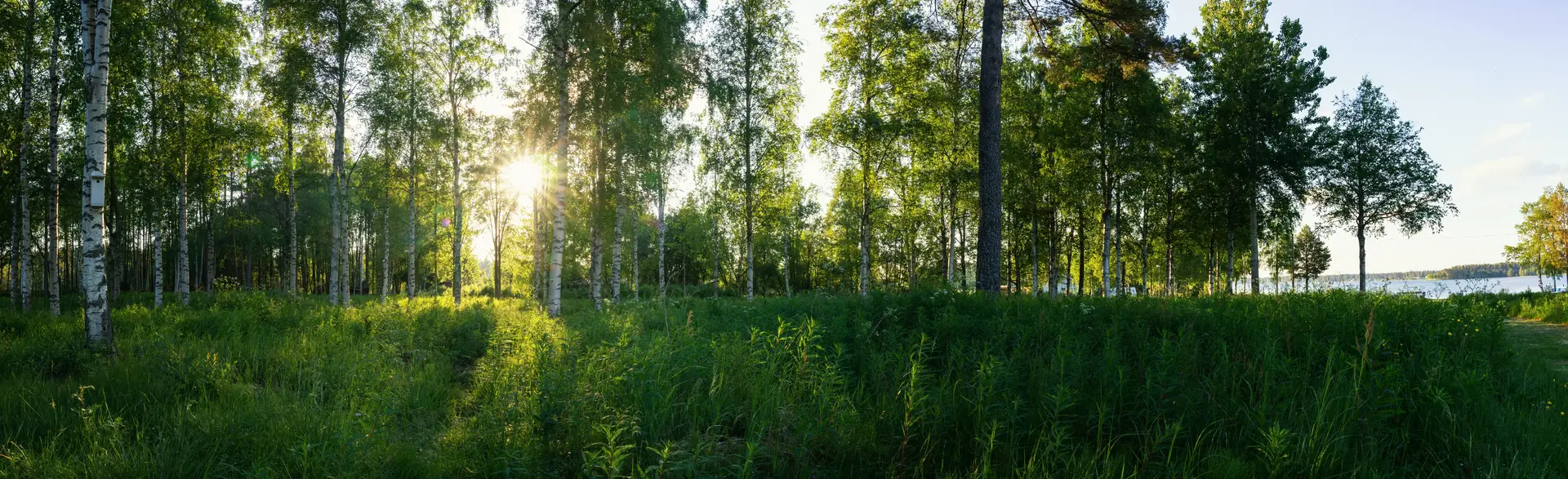 Byta FTX-aggregat Leksand